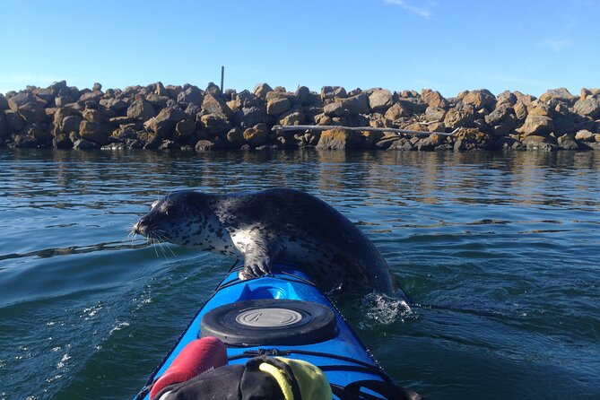 2 Hour Sound Tour - What two hours on Puget Sound feels like