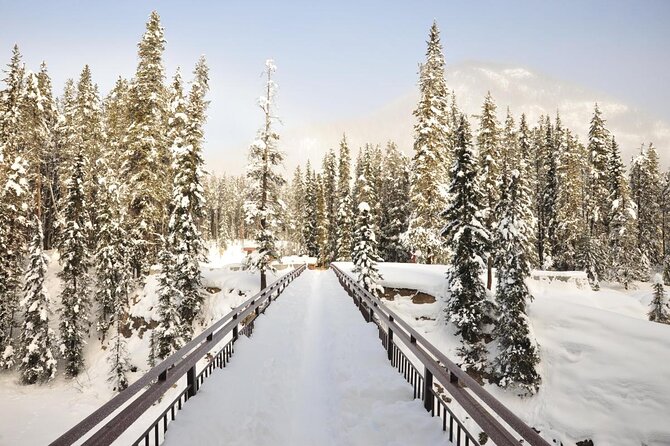 7-Day Small Group Tour: Canadian Rockies and National Parks - Key points at a glance