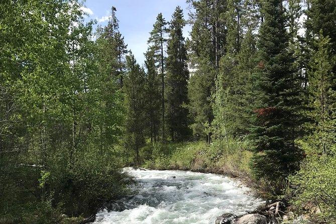 7-Day Small Group Tour: Canadian Rockies and National Parks - Day 3: Lake Louise and Moraine Lake