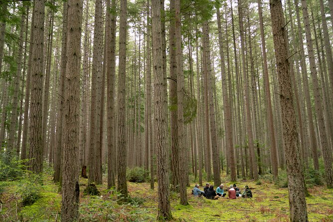 Bainbridge Island Serenity Forest Hike & Cultural Landmarks Tour - Why This Bainbridge Island Tour Works
