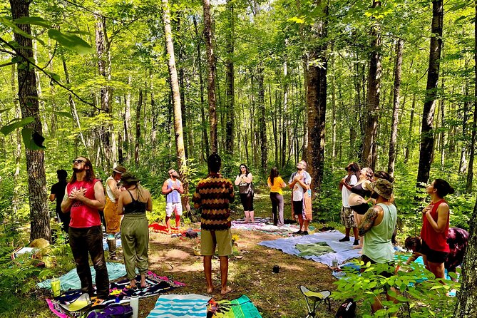 Bainbridge Island Serenity Forest Hike & Cultural Landmarks Tour - Is $235 Per Person Good Value?