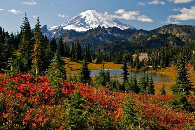Best of Mount Rainier National Park from Seattle: All-Inclusive Small-Group Tour - Quick takeaways