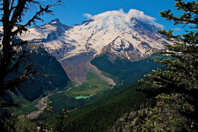 Best of Mount Rainier National Park from Seattle: All-Inclusive Small-Group Tour - Longmire and the old-growth forest