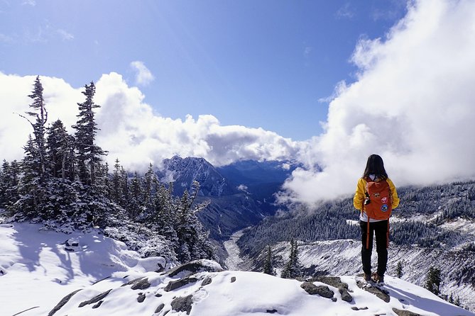 Best of Mount Rainier National Park from Seattle: All-Inclusive Small-Group Tour - Christine Falls and Narada Falls