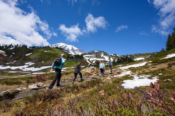 Best of Mount Rainier National Park from Seattle: All-Inclusive Small-Group Tour - Myrtle Falls and Reflection Lakes