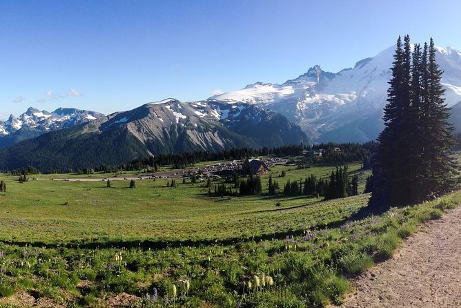Best of Mount Rainier National Park from Seattle: All-Inclusive Small-Group Tour - A picnic lunch that adds real value