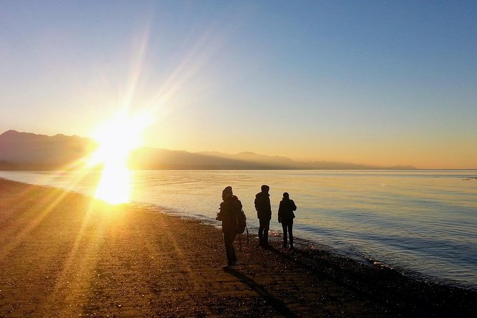 Best of Olympic National Park from Seattle: All-Inclusive Small-Group Day Tour - Why this is one of Seattle’s better park day trips