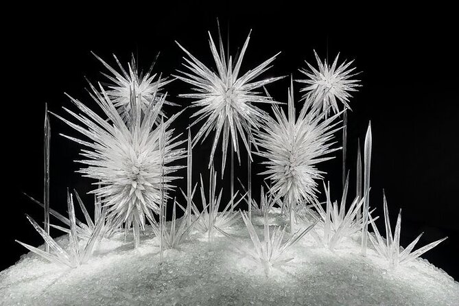 Chihuly Garden and Glass in Seattle Ticket - The visit takes about two hours, but timing matters