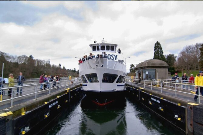 City Sightseeing Seattle HOHO Bus and Locks or Harbour Cruise - Westlake and the Amazon Spheres