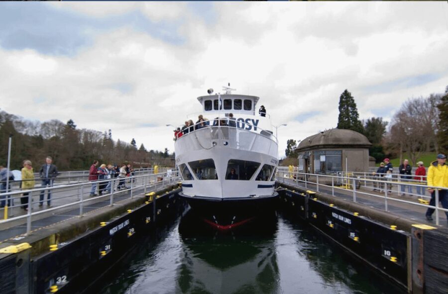 City Sightseeing Seattle: HOHO Bus Tour + Locks Cruise - Choosing between 24 and 48 hours