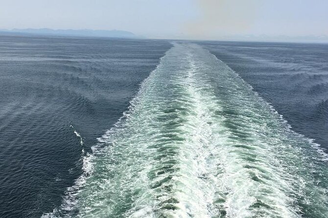 Explore Olympic National Park from Seattle through Van /Ferry - The ten-hour schedule needs realistic expectations