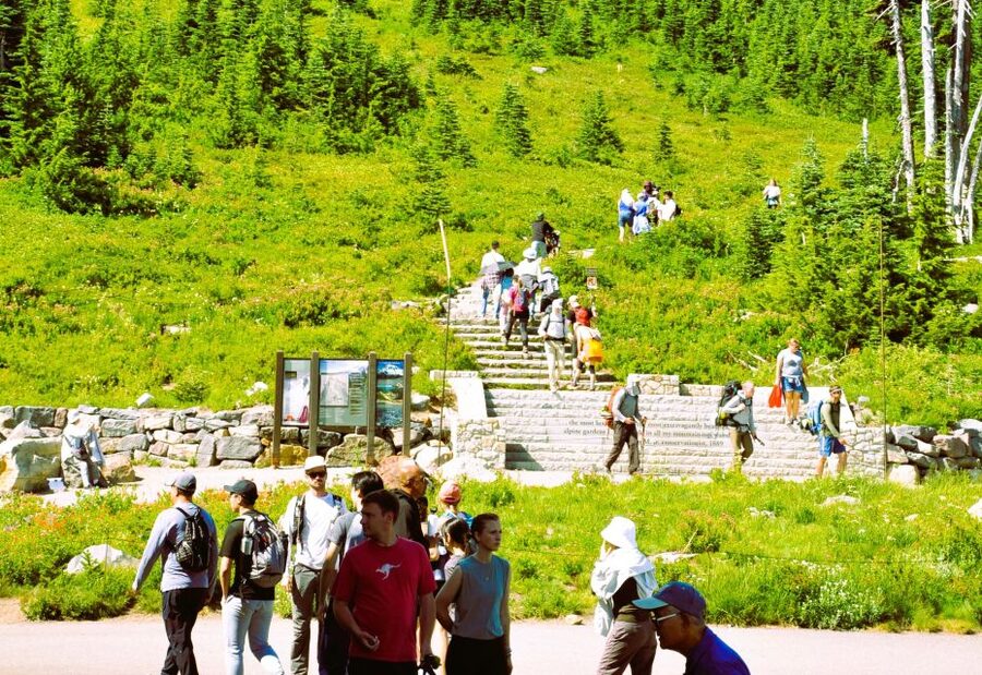 From Seattle: Customized Mount Rainier Tour - Key points to know before booking