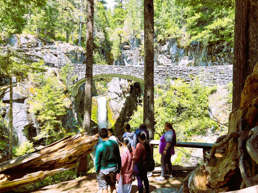 From Seattle: Customized Mount Rainier Tour - Elbe Hills and the old forest route