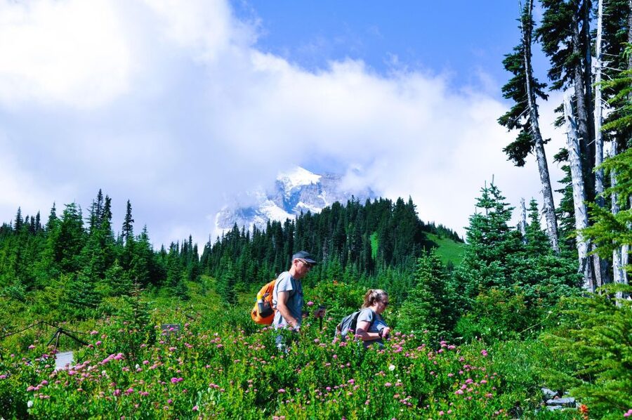 From Seattle: Customized Mount Rainier Tour - Entering Mount Rainier National Park