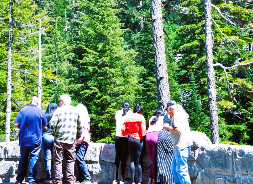 From Seattle: Customized Mount Rainier Tour - Narada Falls and the short walking stops