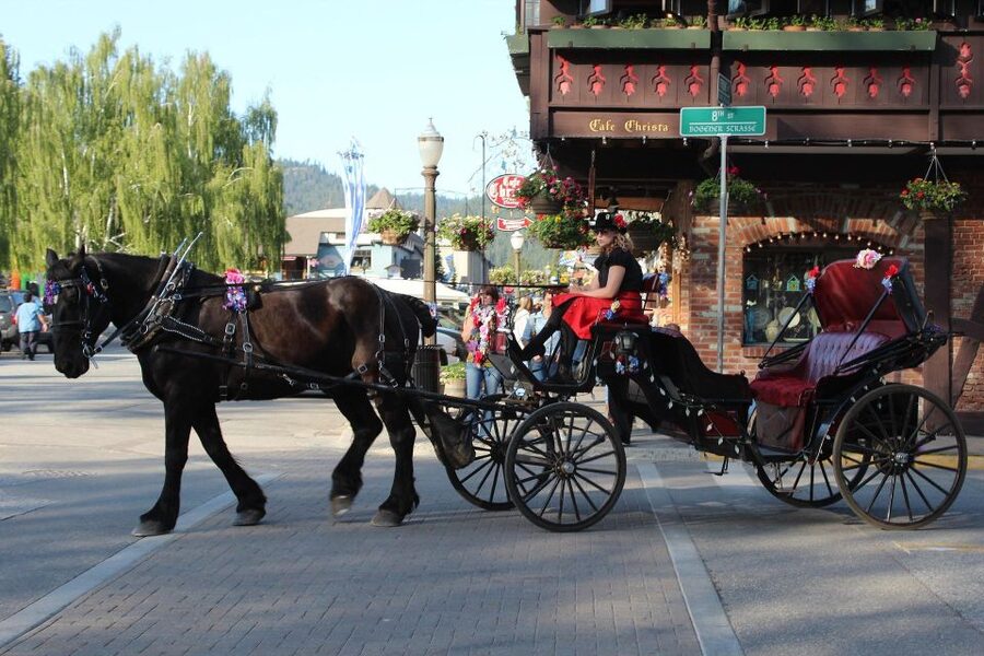 From Seattle: Day Trip Through The Cascades to Leavenworth - Why this Seattle day trip works