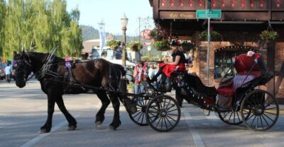 Day Trip Through The Cascades to Leavenworth