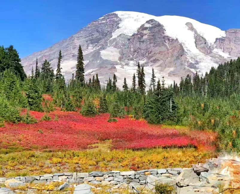 From Seattle: Mount Rainier Guided Day Tour - Longmire Museum gives the mountain a human story