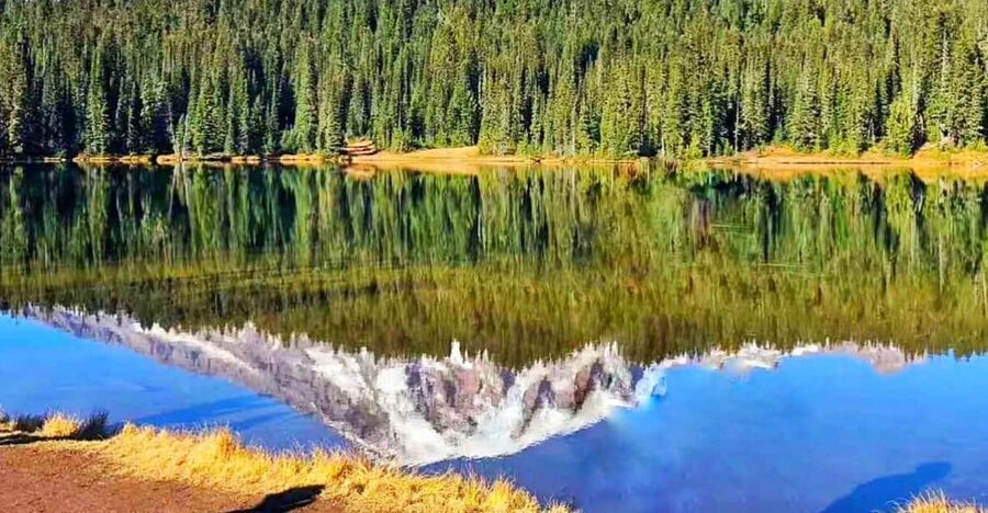 From Seattle: Mount Rainier Guided Day Tour - Christine Falls and Narada Falls bring the sound of water