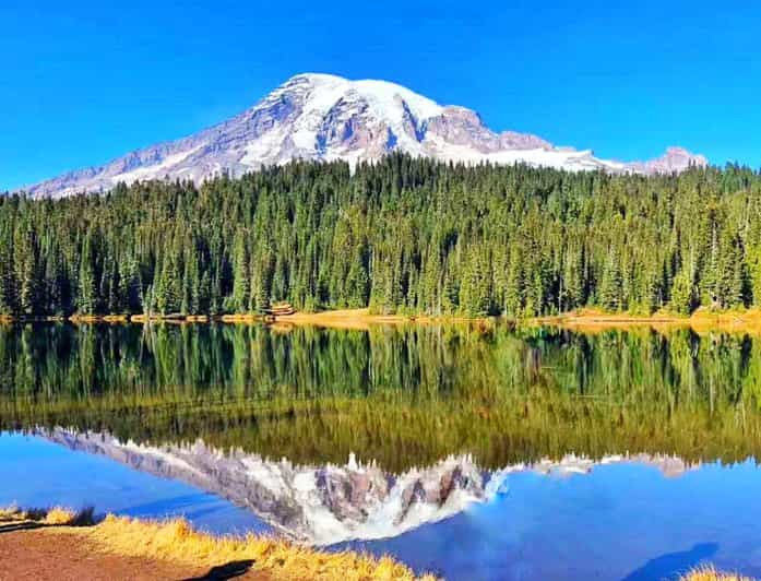 From Seattle: Mount Rainier Guided Day Tour - Paradise is the main event, with two hours to explore