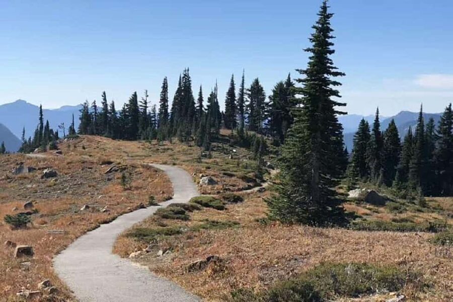 From Seattle: Mount Rainier Guided Day Tour - Lunch is included, but bring backup food