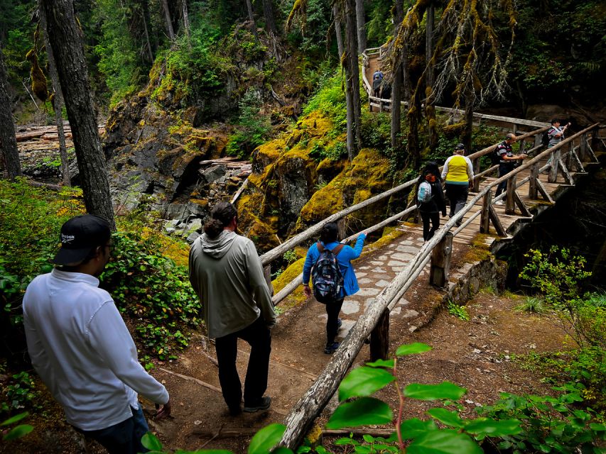 From Seattle: Mount Rainier National Park Guided Tour - Why this tour works well for a one-day visit
