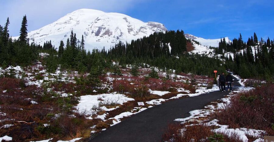 From Seattle: Mount Rainier National Park Guided Tour - Sunrise, Sourdough Ridge, and high mountain views