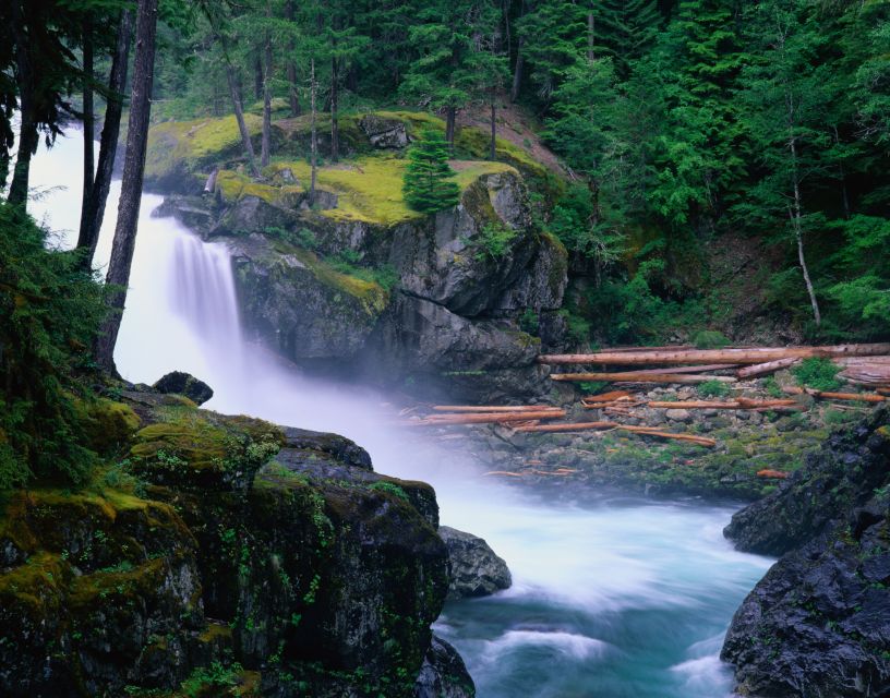 From Seattle: Mount Rainier National Park Guided Tour - Is $173 a fair price?