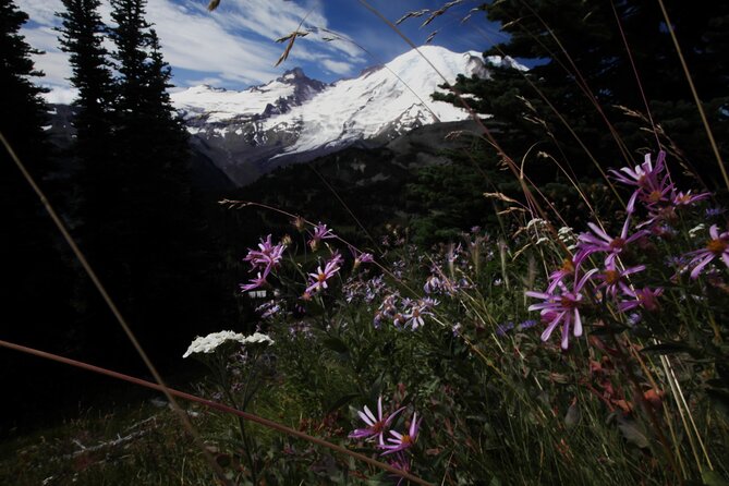 From Seattle: Private Tour to Mt. Rainier - Leaving Seattle at 7 a.m.