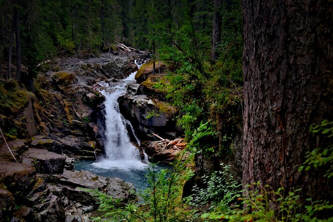 From Seattle: Private Tour to Mt. Rainier - Elbe and Ashford add a local touch