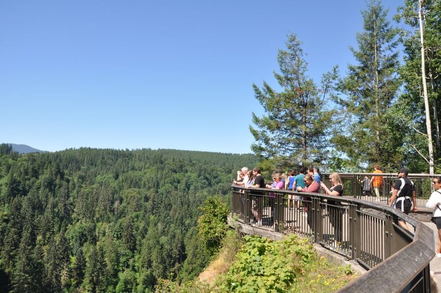 From Seattle: Snoqualmie Falls and Wineries Tour w/ Transfer - Price, comfort, and what is really included