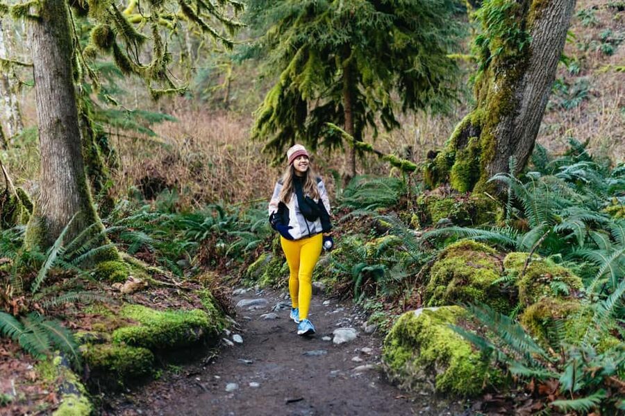 From Seattle: Visit Snoqualmie Falls and Hike to Twin Falls - What makes the guide important