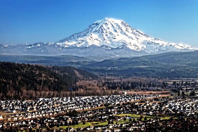 Full-Day Mt Rainier National Park Private Tour in SUV - Narada Falls and its 176-foot drop