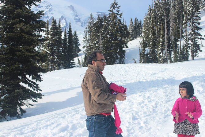 Full-Day Mt Rainier National Park Private Tour in SUV - Reflection Lakes and seasonal access