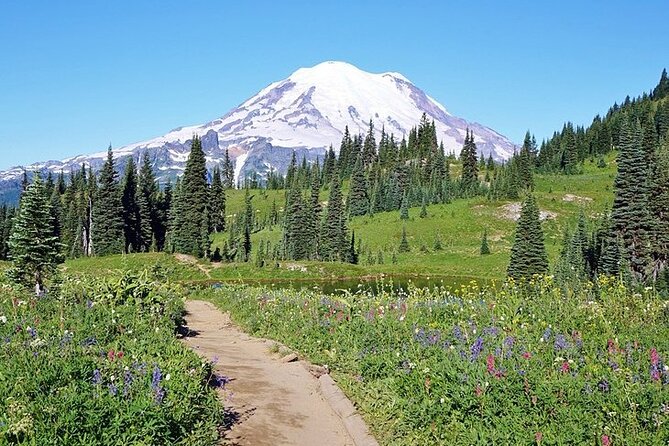 Full-Day Mt Rainier National Park Private Tour in SUV - Breakfast before the park entrance