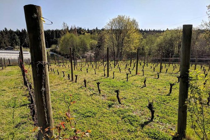 Full-Day Small-Group Bainbridge Island Wine and History Tour - A full Bainbridge day without the planning burden