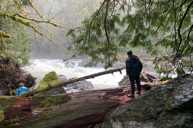 Guided forest hike to Seattle waterfalls incl. Snoqualmie Falls - Twin Falls and Upper Falls: the active highlight