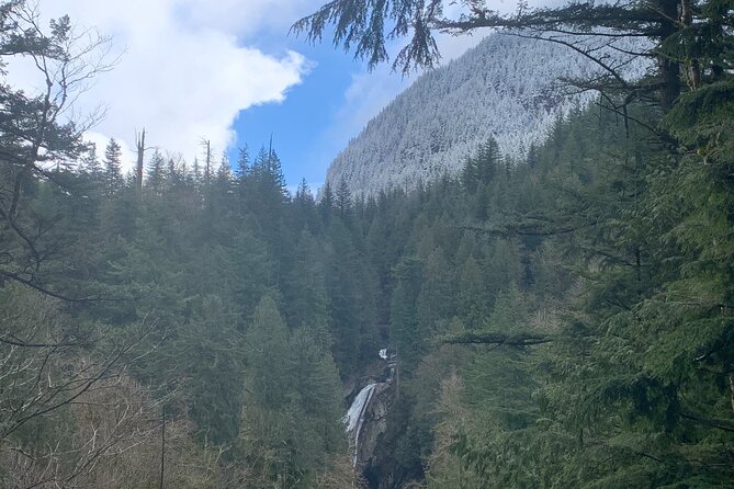 Guided forest hike to Seattle waterfalls incl. Snoqualmie Falls - Snoqualmie Falls and its 270-foot drop