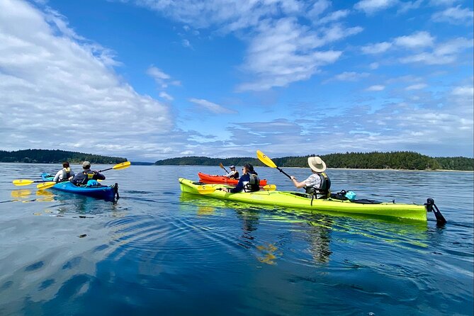 Guided Kayak Tour To Hope Island State Park - Key points at a glance