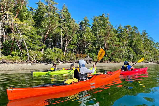 Guided Kayak Tour To Hope Island State Park - The $89 price and what it covers