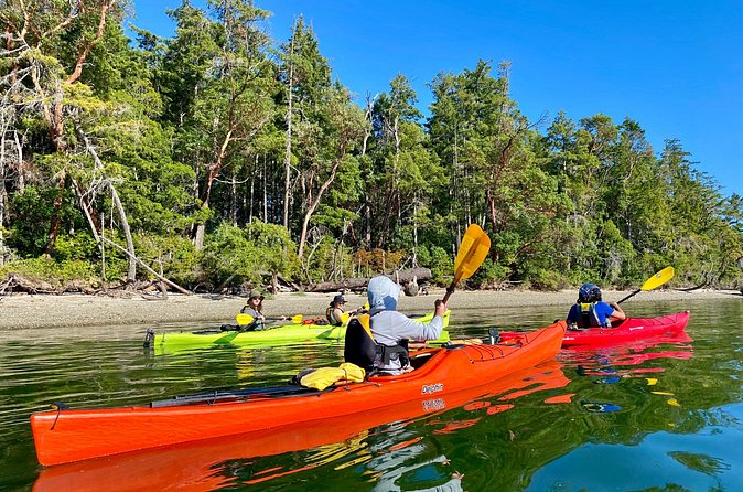 Guided Kayak Tour To Hope Island State Park - Who should book this tour