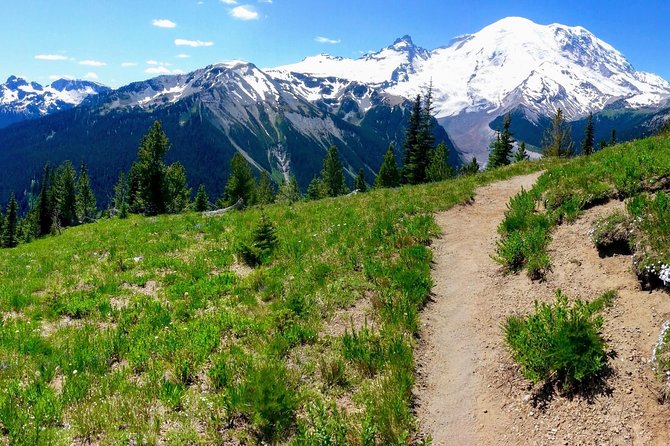 Hike Mt. Rainier & Taste Yakima Valley Wine: All-Inclusive Day Tour from Seattle - Why this Seattle day trip works so well