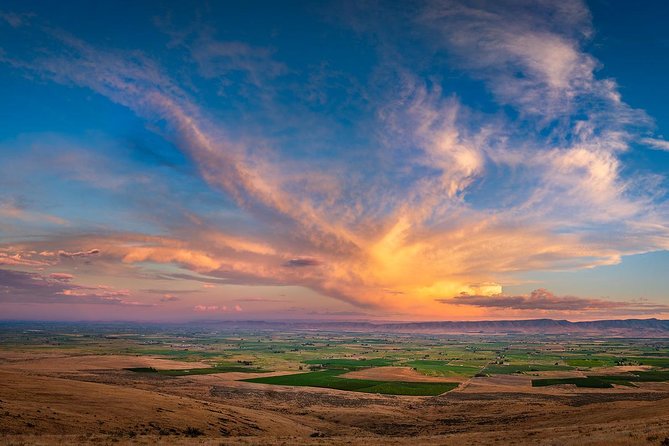 Hike Mt. Rainier & Taste Yakima Valley Wine: All-Inclusive Day Tour from Seattle - Two boutique wineries, not a large tasting-room circuit