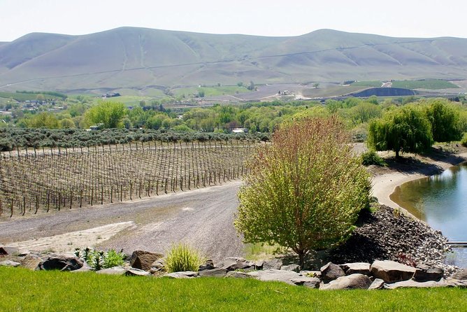 Hike Mt. Rainier & Taste Yakima Valley Wine: All-Inclusive Day Tour from Seattle - Leaving Seattle early in a high-roof van