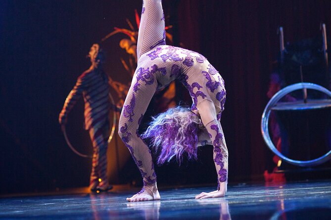 Kooza by Cirque du Soleil: Under the Big Top in Seattle, WA - The Intermission Bathroom Problem