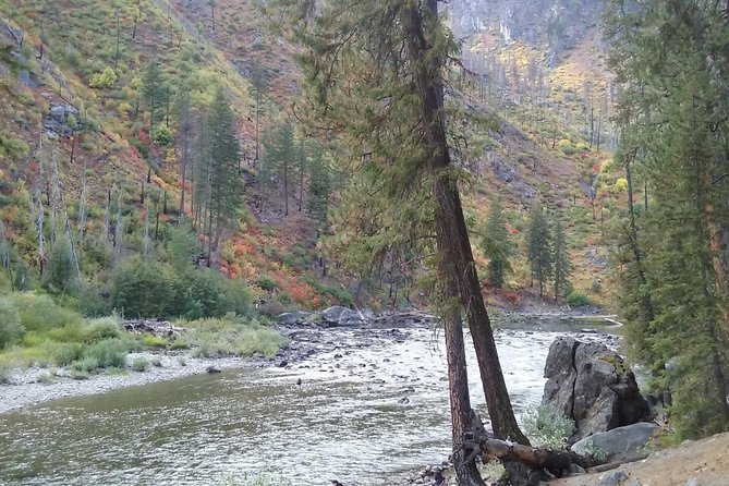 Luxury Leavenworth Day Trip through the Cascade Mountains - Deception Falls: the most walkable stop