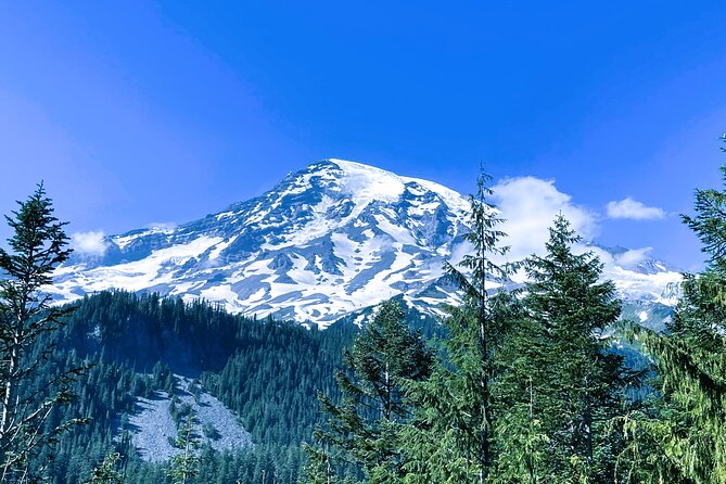 Mount Rainier Customized Tour from Seattle - Narada Falls is the day’s strongest waterfall stop