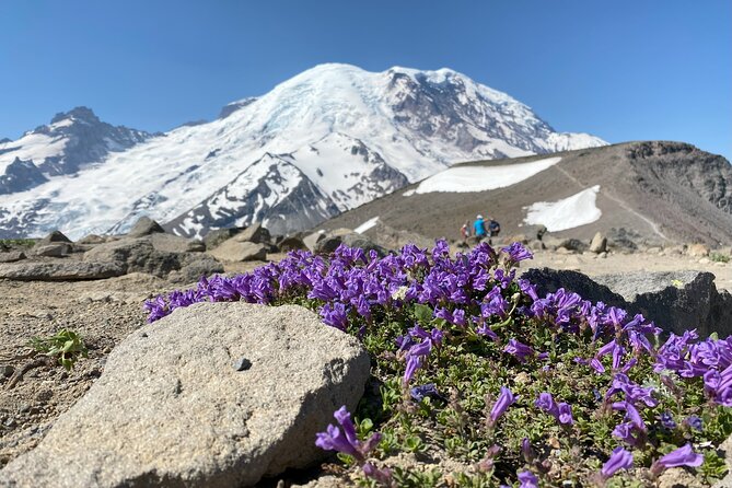 Mount Rainier Day Hike - Lunch, snacks, and the water question