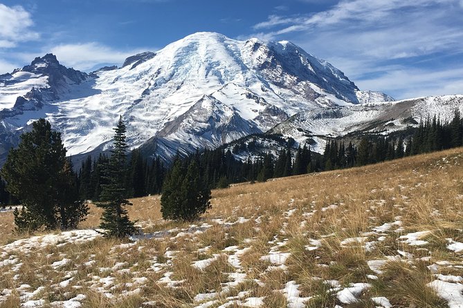 Mount Rainier Day Hike - Is $289 a fair price?