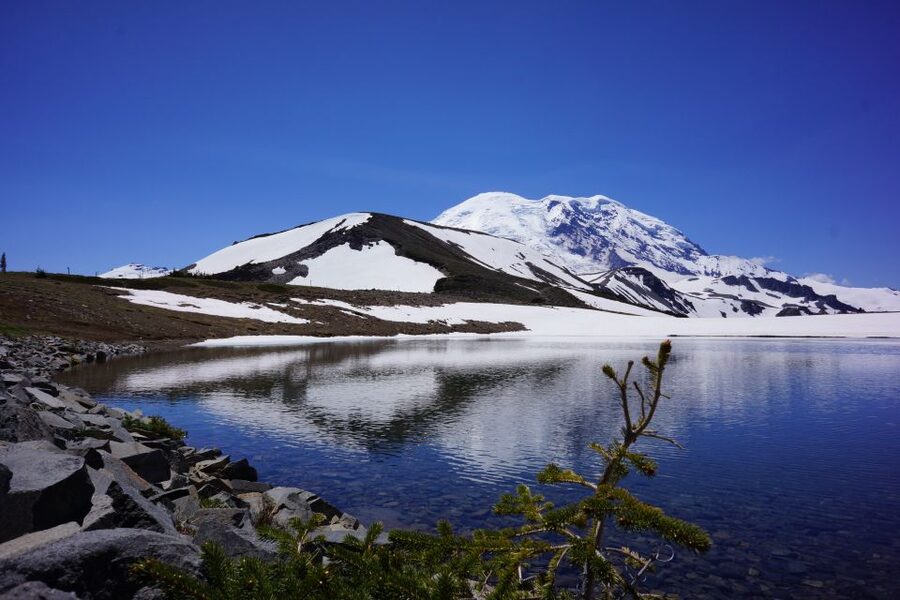 Mount Rainier: Day Hike on the Mountain - Why this is more than a Mount Rainier viewpoint tour